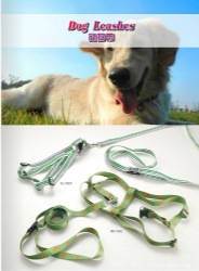 Fashionable nylon dog leash